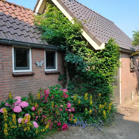 'de Hupsakeet' Holiday home *